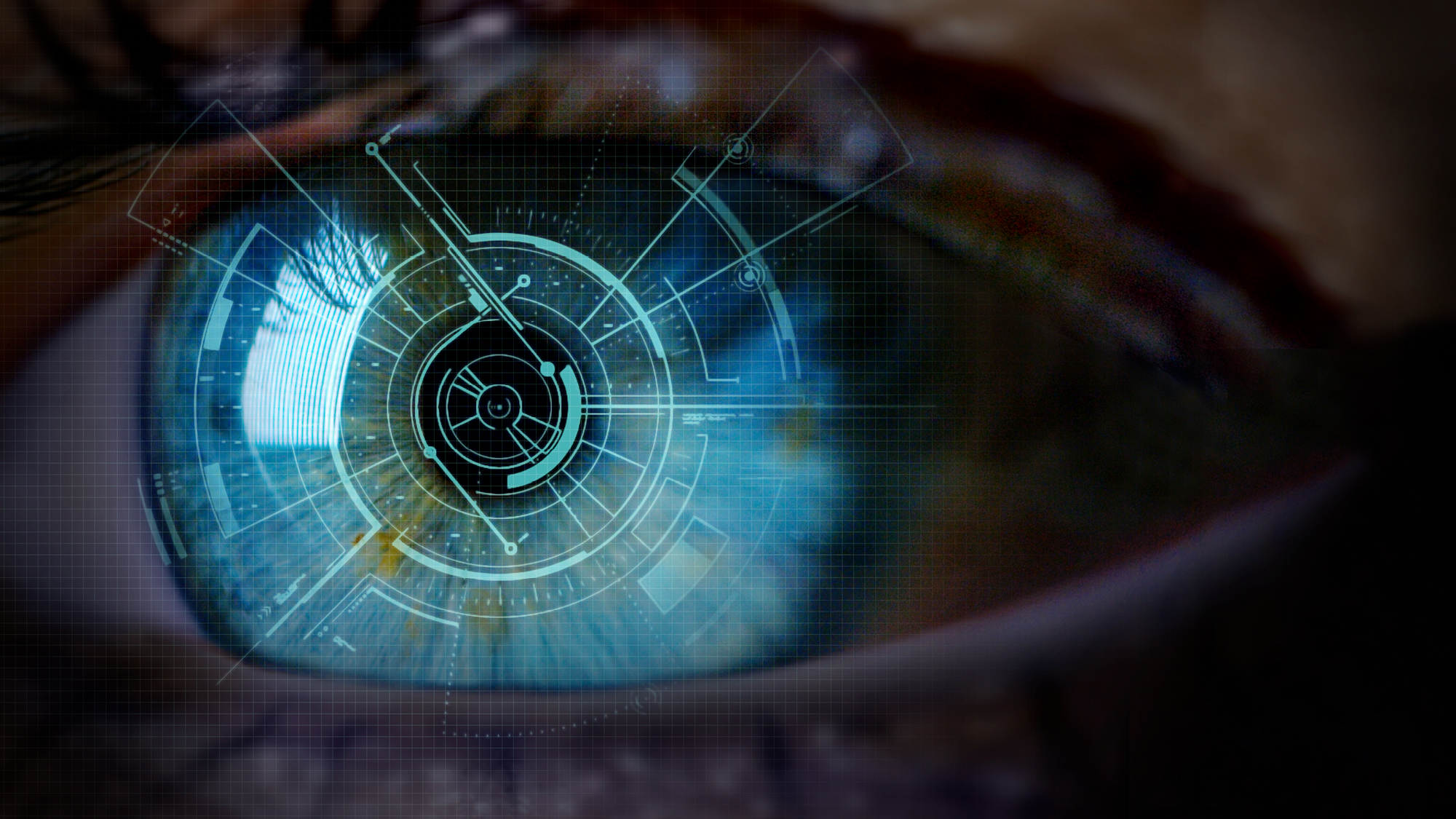 close up of an eye with schematic lines in it